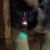 犬の首輪4pcs led collar charm glowing light lightペンダント安全照明付きアクセサリー