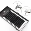 Ögonfransar 10 Cases/Lot Winky Beauty Super Black Matte Korea PBT Royal Sable Eyelash Extension Falsk individuella fransar handgjorda fransar