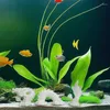 Tea Pets Chińska rzeźba Smok Symbolika kulturowa Maskotka Figurka Lucky Feng Shui Decor Aquarium Landscaping Statua