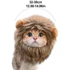 Kattdräkter lejon man dräkt peruk kattunge klä upp tvättbar snygg hår hatt roliga katter
