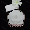 Fashion Luxury Classic Letter Necklace Bracelets Designer Rose Gold Necklaces Chain Link Bracelet Jewelry Set Girl Women Wedding Birthday Bangle with Box