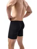 Calzoncillos sexys finos transparentes para hombre, ropa interior transparente, caja misteriosa, bolsa convexa en U, lencería exótica, Boxer, pantalones cortos