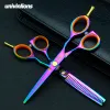 SHARS 5.5/6 "Univinlions Pink Razor Cut Hairdressing Scissors Professionella hår sax Barber Shop Supplies Thunning Rainbow Shears