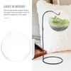 Vases Wall Vase Cookies Hanging Plant Holder Flowerpot Plants Planter Pendant Glass Terrarium