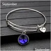 Charm Armbänder Birthstone Silber Farbe erweiterbare Draht Armband Armreifen für Frauen 12 Farben DIY Armreif Freund Geburtstagsgeschenke Dhgarden Dhlby