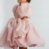 Girl Dresses Cute Princess Dress Little Puff Sleeve Gala Tutu Gown Kids Birthday Bow Outfits Flower Wedding Party Clothes 3-8T