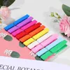 Frames 100 Pcs Wooden Clip Clothes Pins Heavy-duty Daily Use Colored Clothespins For Craft Decoration Clips