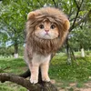 猫の衣装ライオンフードヘアペットコスチューム洗えるファンシーハット面白い子猫猫はハロウィーンのコスプレのためにドレスアップします