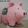5ml (16.5ft) 송풍기 팽창 식 색상 돼지 팽창 식 돼지 저금통이있는 이벤트 또는 중국에서 제작 된 이벤트 또는 프로모션을위한 맞춤형 돼지 은행