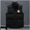 Manteaux de gilet pour hommes de créateurs Vente Europe et États-Unis Automne / Hiver Down Cotton Canadian Goose Brand Vestes d'extérieur Nouveaux designers C D9il #