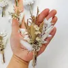 Decorative Flowers Dried Flower Bundles Mini Rose Pampas Grass Bouquets Natural Plant For DIY Craft Card Decoration Po Props Home Wedding