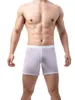 Underbyxor sexig tunn ren se genom mäns trosor underkläder män mistery box u konvex påse exotiska underkläder boxare shorts