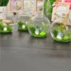 Vases Hanging Glass Ball Garden Home Decoration Flat Bottom Flower Indoor Ornament Party Tealights Terrarium