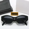 Marca de luxo Triomphe Poligonal Óculos de Sol CEL Europeu American Designers Óculos de Sol HD Clássico Mulheres Retro Pequeno Quadro Mens Irregular Óculos de Sol Moda