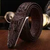 Plyesxale Leather Belt Men Men Luxury Crocodile Belts Men Gold Silver Bronze Buckle Buckle عالية الجودة للأحزمة B8 Q240221