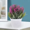 Flores decorativas 2 Pcs Primavera Planta Artificial Lavanda Decoração Vaso Plástico Falso Vasos de Plantas Interior