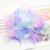 Gift Wrap 100pcs/bag Colorful Feathers Packing Material Box Filler Supplies Diy Craft Wedding Birthday Accessories