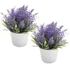 Flores decorativas 2 Pcs Primavera Planta Artificial Lavanda Decoração Vaso Plástico Falso Vasos de Plantas Interior