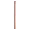Drinking Straws High Quality Long Reusable Stainless Steel Metal Large Straight Straw 10mm/12mm