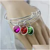 Charm Armbänder Birthstone Silber Farbe erweiterbare Draht Armband Armreifen für Frauen 12 Farben DIY Armreif Freund Geburtstagsgeschenke Dhgarden Dhlby