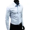 男性秋の長袖カジュアルエレガントなワークシャツビジネスソリッドカラーボタンスリム綿プラスサイズ240219