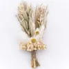 Dekorativa blommor torkade blommabuntar mini rospampas gräsbuketter naturlig växt för diy hantverkskort dekoration po props hem bröllop