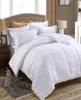 Juwenin Luxury Duvet Intersing Goose Down Alternative Comforter Quilt9012671