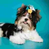 Vêtements de chien 10 pièces bande de caoutchouc pour animaux de compagnie accessoires de cravate de cheveux fille chiot bandeaux décoratifs cravates pour chiens filles coiffure de fête