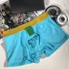 Calzoncillos de diseñador para hombre, ropa interior, calzoncillos tipo bóxer sexys, pantalones cortos vintage, algodón de lujo, ropa interior transpirable y cómoda