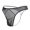 Slips Hommes Sexy Taille Basse Ultra-mince Réseau String Transparent