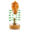 Creative Glass Skull Bong Dab Rig Water Pipe Hookah Glass Tobacco pipes oil rigs Mini smoking pipe 14mm bowls