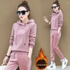 Women's Two Piece Pants Thicken Warm Velvet Tracksuit Women Oversized Fashion Pullover Hoodies And Pant Suit 2024 Autumn Winter Casual Set