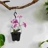 Drenaj kaplı kapalı bitkiler için Havza Orkide Pot Ekicileri Hatırlı Pot Ekicileri