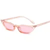 Zonnebril DYTYMJ Nieuwe Cat Eye Zonnebril met klein frame Vrouwen Trendy Zonnebrandcrème Zonnebril Mannen Jelly Kleur Vintege Punk Gafas De Sol MujerL2402