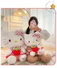 2024 New Cute Plush Toy Cat Cartoon Doll Girl Birthday Gift Cloth Doll Comfort Pillow Toy Wholesale