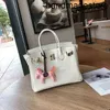 Handbag Designer Bag French Summer Crocodile Pattern Platinum Leather Women's One Shoulder Messenger Luxury YX7V