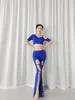 Stage Wear Arab Dance Woman Professional Bellydance Costume Women Belly Dancer Chinese Folk Dresses Suit 2024 Dancing Skirt Prom