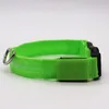 Pet lamp collar, dog collar, teddy gold LED glow-in-the-dark ring, anti-loss collar, charging ring