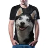 Mäns T-skjortor 2024 3D-tryckta t-shirts som Black Dog Spotted Erha och andra avslappnade toppar är för män överdimensionerade