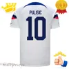 PULISIC MCKENNIE 2023 Soccer Jersey ERTZ ALTIDORE PRESS WOOD MORGAN LLOYD 23 24 Aerica Football Shirt United States Caisetas USA USMNT LLETGET Men Kids