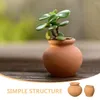 Trädgårdsdekorationer 6 datorer för växter Succulent Flower Terracotta Outdoor Ceramics Mini Gardening