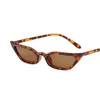 Zonnebril DYTYMJ Nieuwe Cat Eye Zonnebril met klein frame Vrouwen Trendy Zonnebrandcrème Zonnebril Mannen Jelly Kleur Vintege Punk Gafas De Sol MujerL2402