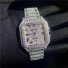 Diamants de luxe AP Watch Apf Factory Vvs Iced Out Moissanite Peut passer le test Luxury Diamonds Quartz Movement Iced Out Sapphire Stone Personnalisation Can the MechanM9V