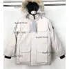 Erkek Kış Kadın Hoodie Tasarımcı Erkek Ceketleri Pamuk Kadın Ceketleri Parka Moda Nakış Kış Ceketli Ceket Mektupları Basılı