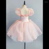 Stage Wear Paillettes pour enfants Jupe de ballet professionnelle Costume de performance de danse du cygne Fille