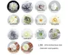 Decorative Flowers 23Pcs Cream Rose Artificial Silk Flower Heads Bulk Combo Set Grey Fake Daliha For DIY Crafts Scrapbook Decor Accessories