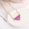 Sier Triangle Hangers ketting Vrouwelijke roestvrij stalen paar gouden ketting hangerse sieraden op het nekcadeau voor vriendin accessoires