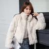 Женская повседневная куртка премиум-класса с мехом из искусственного рекса 2024, зимний стиль 01211