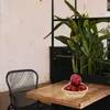 Décoration de fête 4 PCS Simulation Red Snake Fruit Model Sceneout Scene Banana Home Ornement High density Molon Restaurant Affichage Fruits