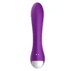 Hip USKV Magnetic Charging Single Head Shaker Adult Sex Products Women's Masturbation Device Yama Best quality